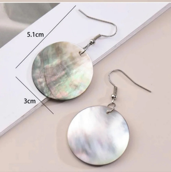 natural abalone shell disc drop earrings - Picture 2 of 2